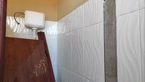 Puerta de baño de colegio se desprendió y cayó sobre una alumna