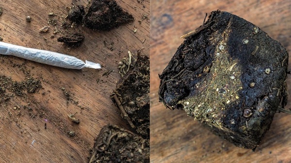 El prensado paraguayo es la peor marihuana del mundo - El Independiente