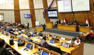 Diputado cuestiona a sus colegas que legislan para tapar ilícitos •