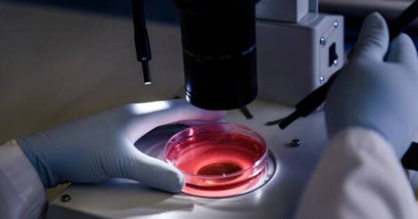 La Nación / Día Mundial de la Concienciación sobre la Leucemia Mieloide Aguda