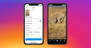 La Nación / Día de la Tierra: Meta introduce una opción para recaudar fondos en ‘reels’ de Instagram