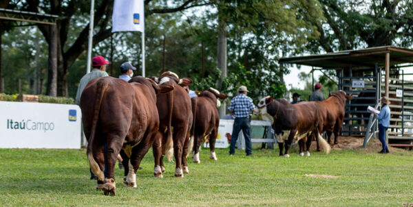 Todos los detalles de actividades de la Expo Nacional Braford