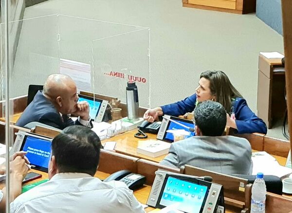Debate de conflicto de intereses ya causa roncha en los cartistas - Nacionales - ABC Color