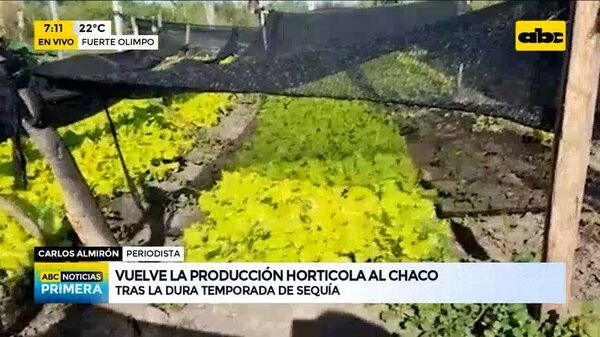 Fuerte Olimpo: La falta de lluvia preocupa a productores en el Chaco - ABC Noticias - ABC Color