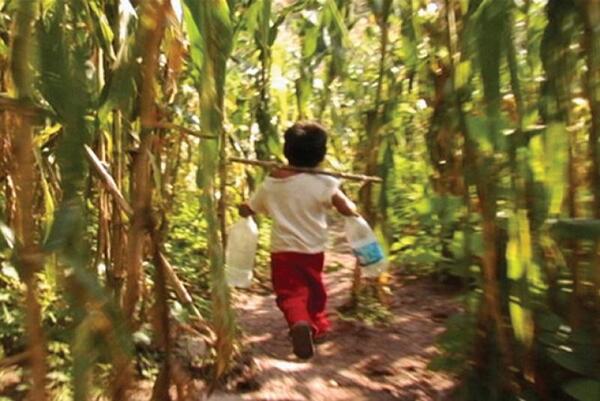 Diario HOY | Terrible caso: niño revela que su tío lo abusaba en la chacra