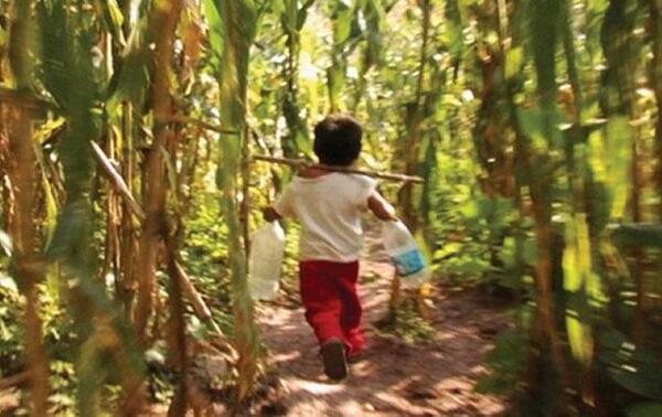 Niño de 7 años revela que su tío lo abusaba en la chacra en Caaguazú – Prensa 5