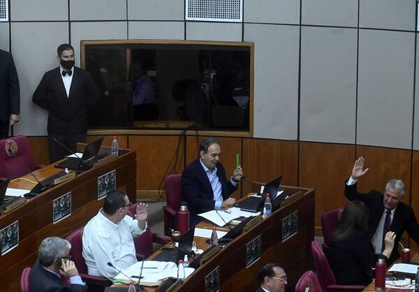 Senado posterga el tratamiento del proyecto de ley que elimina declaraciones juradas a proveedoras extranjeras de Petropar - Nacionales - ABC Color
