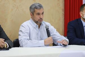 Gobierno anuncia proyecto de ley para frenar aumento salarial a funcionarios en época electoral - Nacionales - ABC Color