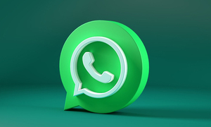 Encuestas en WhatsApp: esta sería la imagen de la herramienta de Meta - OviedoPress