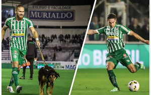 Crónica / [VIDEO] ¡“Kure’i” Ruiz y Pitta son compís en Brasil e hicieron dos golazos!