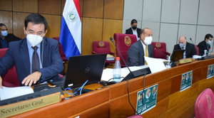 Senadores aprueban proyecto que prohíbe los cupos de combustible - Noticiero Paraguay