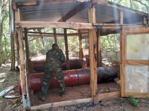 Nueva Alianza XXXI: destruyen invernaderos de marihuana en Cerro Sarambí - Nacionales - ABC Color