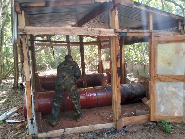 Nueva Alianza XXXI: destruyen invernaderos de marihuana en Cerro Sarambí - Nacionales - ABC Color