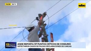 Pérdidas de ANDE, diputados pedirán informes - Nacionales - ABC Color