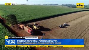 Sojeros reportan pérdidas del 70% y piden suspensión del pago de anticipo del IRE - Factor Clave - ABC Color