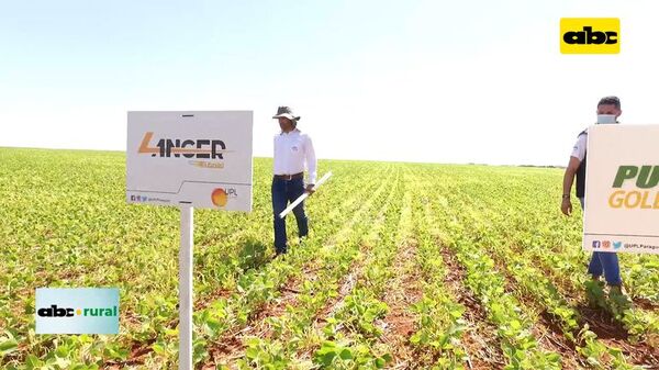 UPL apunta al “Gigaton Challenge” en agricultura - ABC Rural - ABC Color