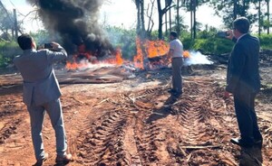 Incineran cargamento de 388 kilos de cocaína
