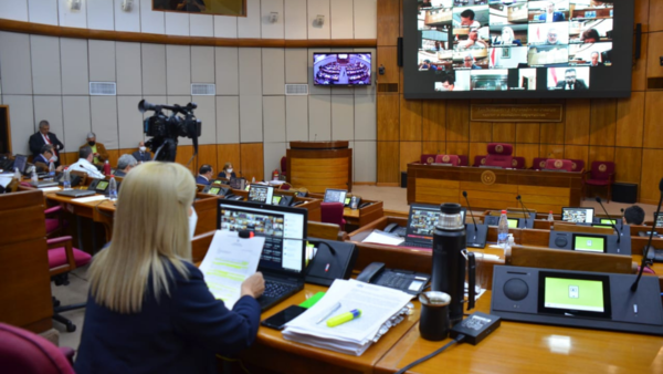 Senadores aprueba eliminar cupos de combustible - El Independiente