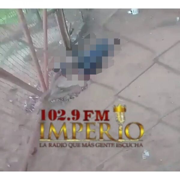 Con tiro de escopeta mataron a un perro en la colonia Gasory - Radio Imperio