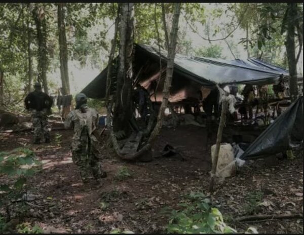 Senad desarticula narcoinvernaderos en montes de Yby Yaú