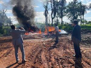 Incineran unos 388 kilos de cocaína incautada en Alto Paraná