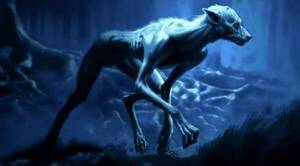 Crónica / "Ucumar" un misterioso animal que crea conmoción en Argentina