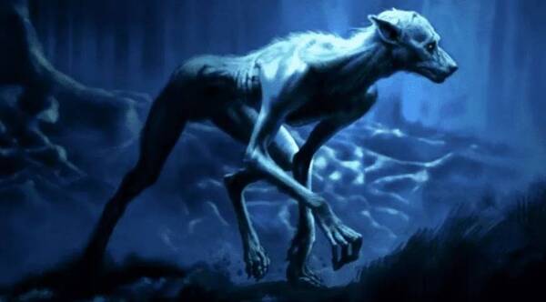 Crónica / "Ucumar" un misterioso animal que crea conmoción en Argentina