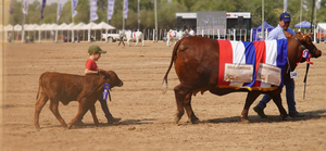 Se realizó el lanzamiento oficial de la Expo Rodeo Trébol 2022
