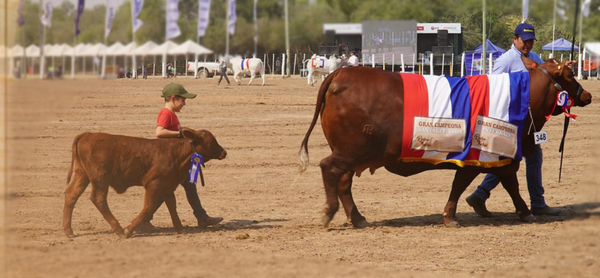 Se realizó el lanzamiento oficial de la Expo Rodeo Trébol 2022