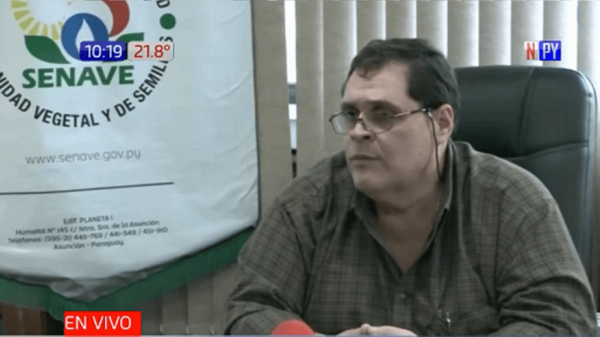 Alto Paraná: Alertan enfermedad roya en la soja | Noticias Paraguay