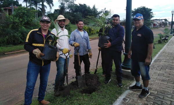 Organización de sanjosianos residentes en Asunción, arborizan local turístico - Noticiero Paraguay