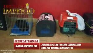Realizan jornada de castración comunitaria de mascotas - Radio Imperio