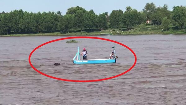 Quisieron hacerle cruzar el río a un caballo y murió ahogado