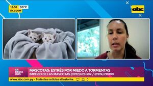 Cuidados a tener con nuestras mascotas ante el estrés por miedo a tormentas - Ensiestados - ABC Color