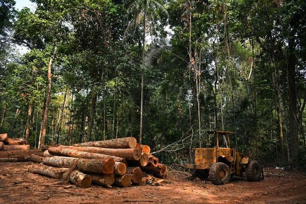 ONG computan 102 ataques a defensores de la tierra en Venezuela en 5 años - Mundo - ABC Color