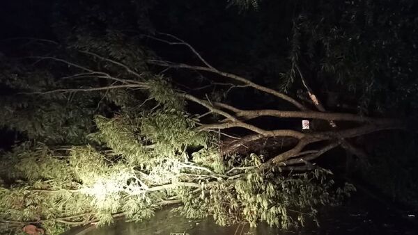 Temporal deja sin luz varias zonas, árboles caídos y casas derrumbadas