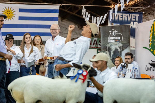 Cobaner y Cabaña San Roque los Grandes Campeones Hampshire AO