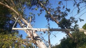 Carapeguá quedó sin energía eléctrica de ANDE tras tormenta de anoche - Nacionales - ABC Color