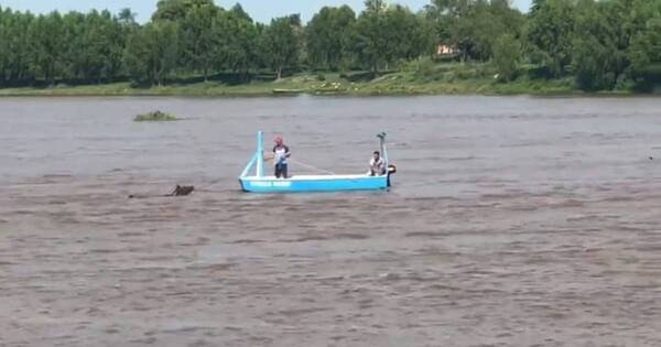 La Nación / Maltrato animal: obligaron a un caballo a cruzar el río caminando