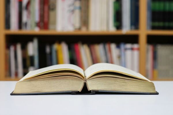 Día del libro: Nueve frases de escritores que te harán apreciarlos más - Literatura - ABC Color