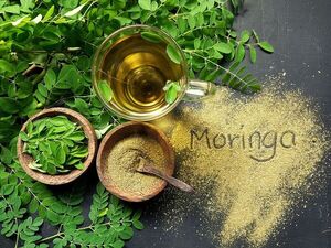 La moringa: ¿es realmente un árbol milagroso? - Gastronomía - ABC Color