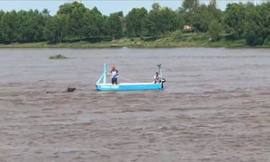 Obligaron a un caballo a cruzar el río caminando - OviedoPress