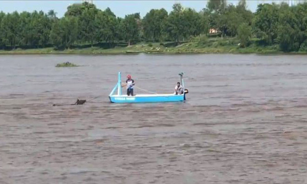 Obligaron a un caballo a cruzar el río caminando - OviedoPress