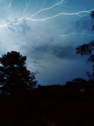 Meteorología: Ráfagas de viento alcanzaron más de 120 km/h durante temporal