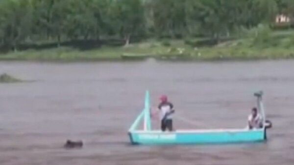 Un caballo fue obligado a cruzar el río atado a un bote