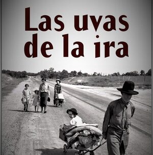 Mi aventura con los libros - El Independiente
