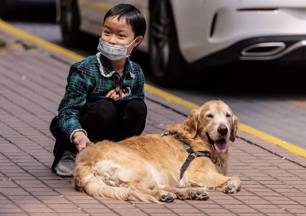 Voluntarios tratan de salvar a mascotas encerradas por confinamiento en Shanghái - Mascotas - ABC Color