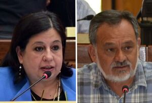 Frente Guasu elige hoy a su candidato a presidente de la República - Megacadena — Últimas Noticias de Paraguay