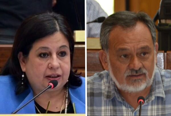 Frente Guasu elige hoy a su candidato a presidente de la República - Megacadena — Últimas Noticias de Paraguay