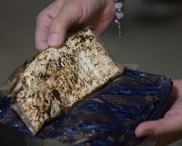 Caen en España 500 kilos de cocaína procedente de Paraguay - Mundo - ABC Color